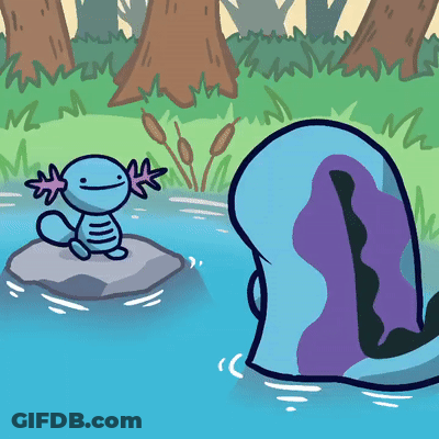 Axolotl Sitting On Rock In Lake GIF