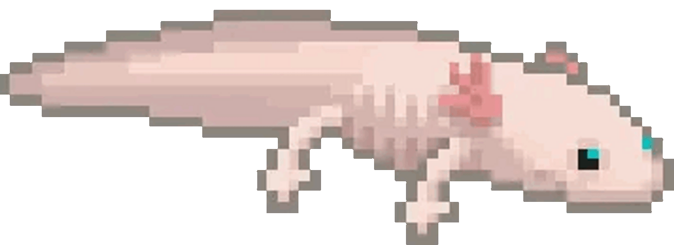 Axolotl Slowly Crawling GIF