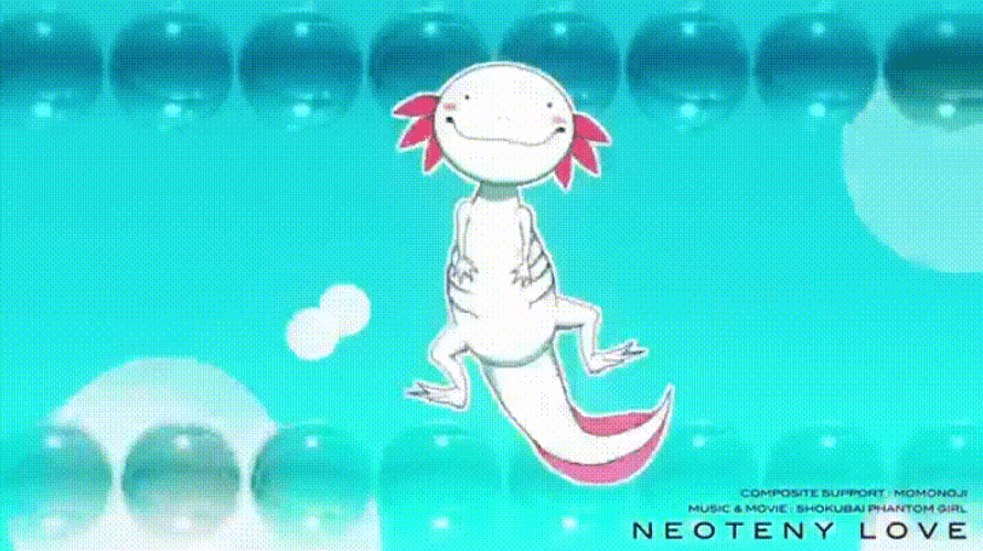 Axolotl Stomping Feet GIF
