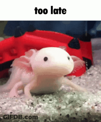 Axolotl Too Late GIF