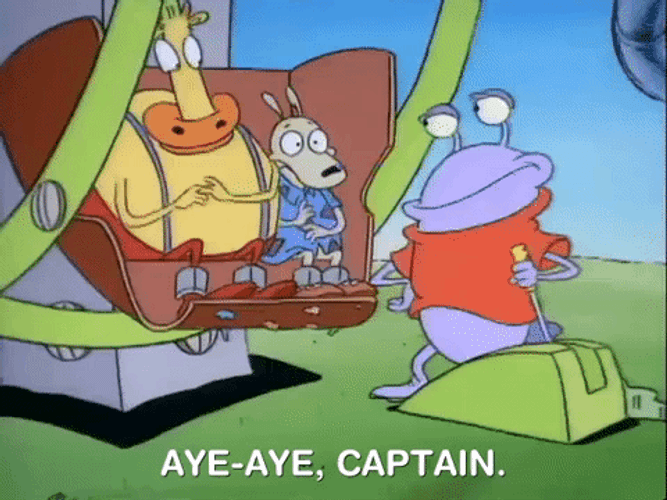 Aye Aye Captain At Ferris Wheel GIF