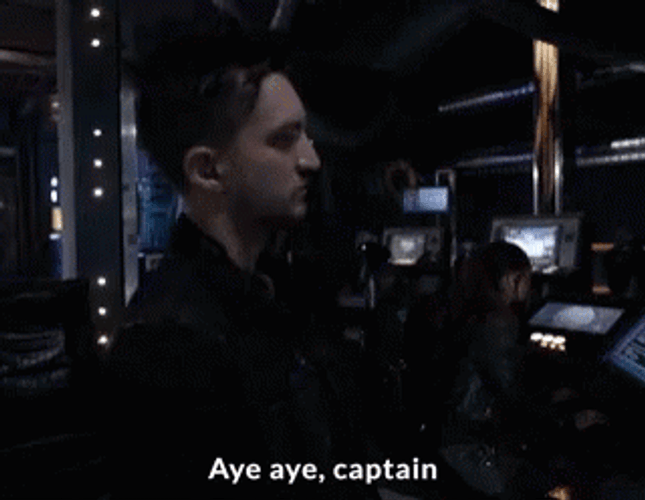 Aye Aye Captain I'm Leaving GIF
