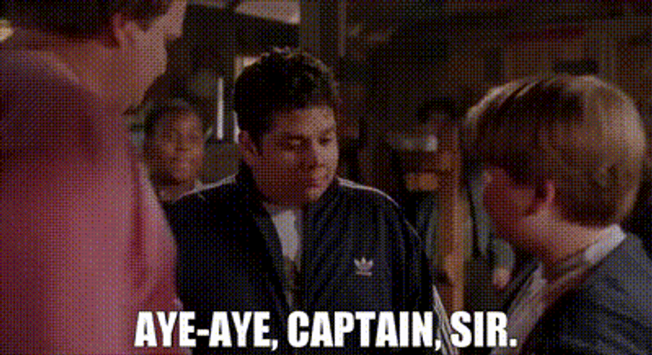Aye Aye Captain Sir GIF