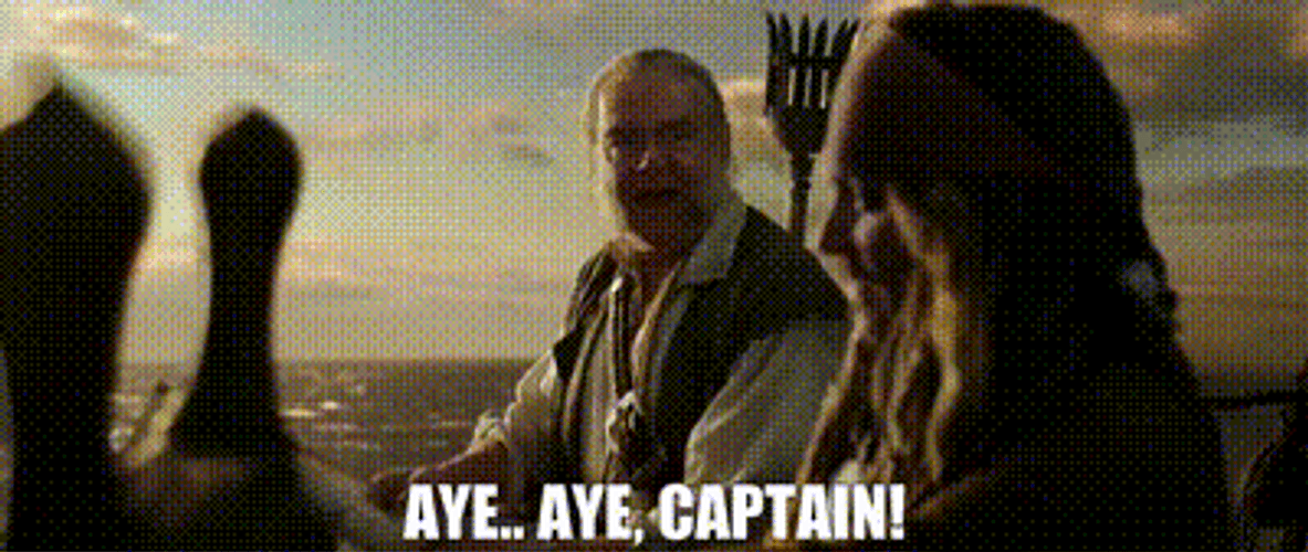 Aye Aye Captain Sparrow GIF