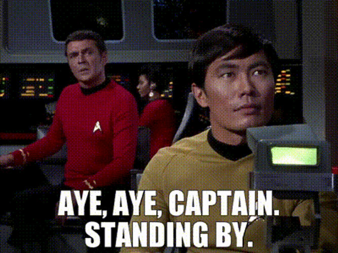 Aye Aye Captain Standing By GIF