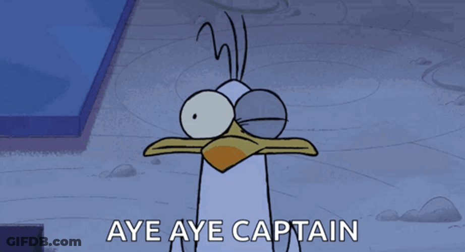 Aye Captain I Understood GIF