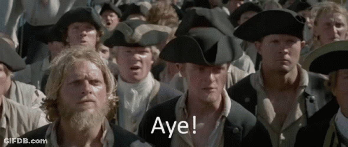 Aye Pirates Of The Caribbean Cheer GIF