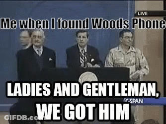Aye Woods Phone GIF