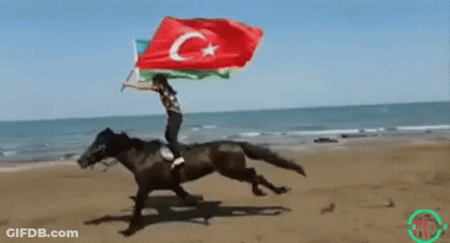 Azerbaijan Turkey Flag Horse GIF