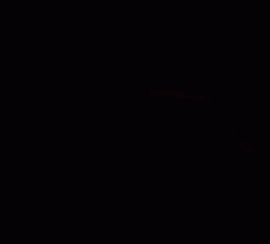 Baal Raiden Shogun Genshin Impact Image Selection GIF