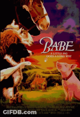 Babe A Little Pig Goes A Long Way Poster GIF