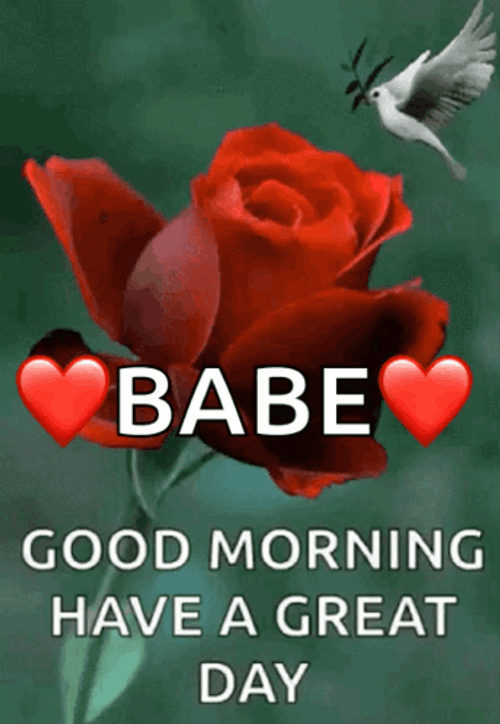 Babe Good Morning Have A Great Day GIF