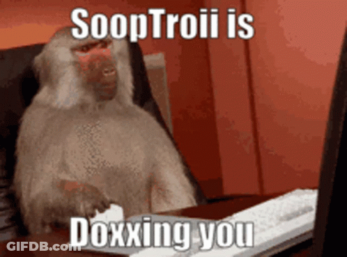 Baboon Sitting At Desk Typing On Laptop GIF
