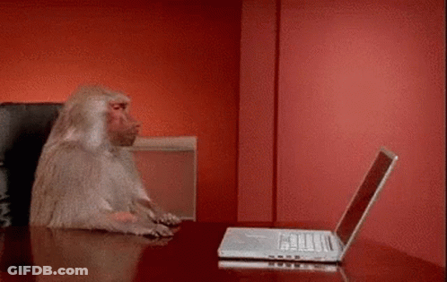 Baboon Sitting With Laptop GIF