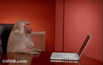 Baboon Typing On Laptop GIF