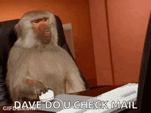 Baboon Using Mouse And Keyboard At Desk GIF