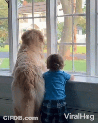 Baby And Dog Looking Out Window GIF
