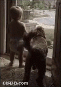 Baby And Dog Looking Out Window GIF