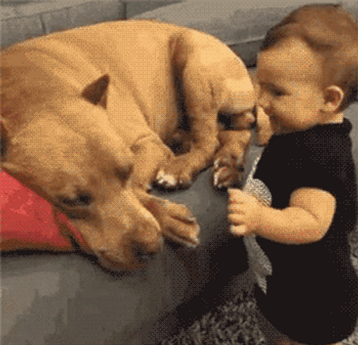 Baby And Dog Monkey Kissing Each Other GIF