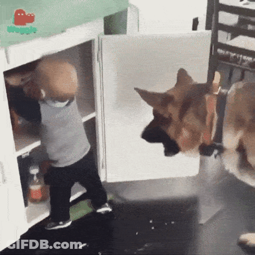 Baby And Dog Stealing Food GIF