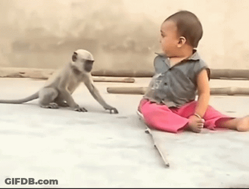 Baby And Monkey Sitting GIF
