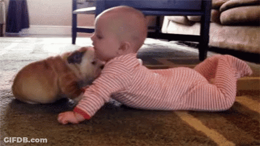 Baby And Puppy GIF