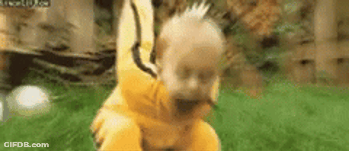 Baby Backflip Tricks GIF