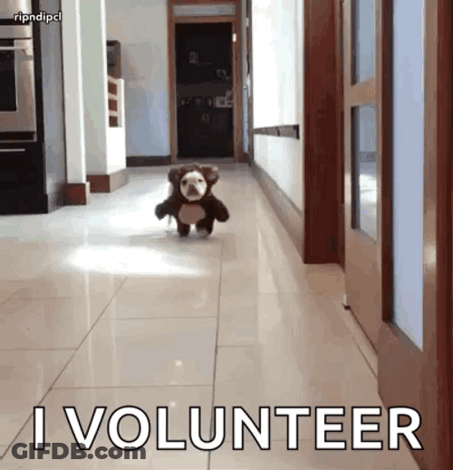 Baby Bear Run To Volunteer GIF