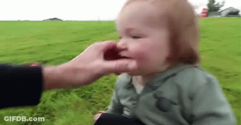 Baby Being Kissed On Face By Man In Field GIF