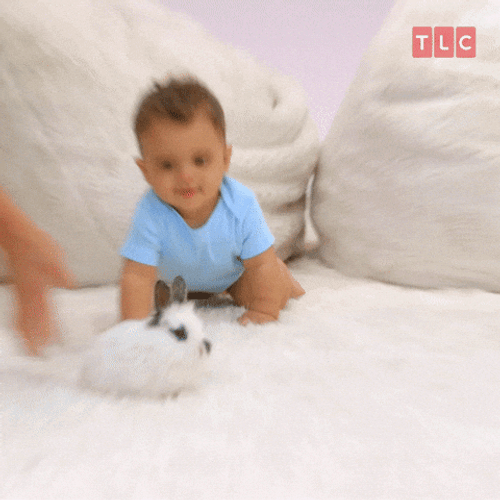 Baby Boy Crawling With Bunny GIF