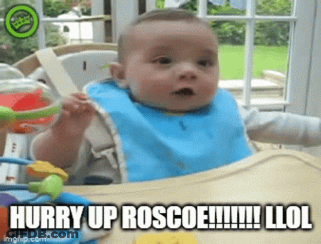 Baby Boy Hurry Up Roscoe Funny GIF
