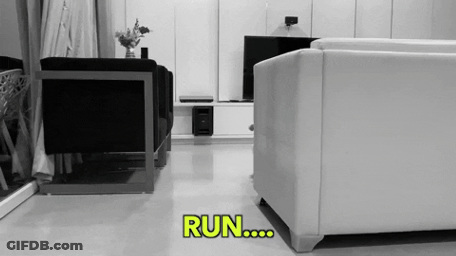 Baby Boy Running Meme GIF