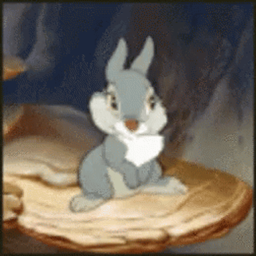 Baby Bunny Shaking Head GIF
