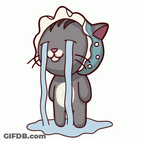 Baby Cat Crying A River GIF