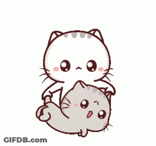 Baby Cat Flipped Up And Down GIF