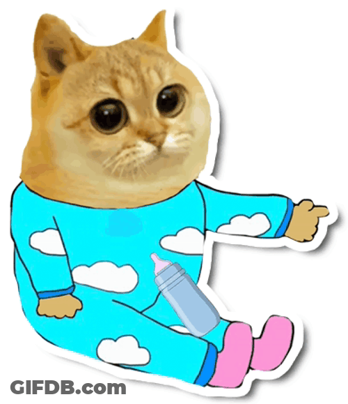 Baby Cat On A Onesie GIF