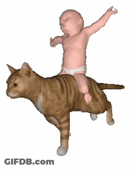 Baby Cat Riding A Cat GIF