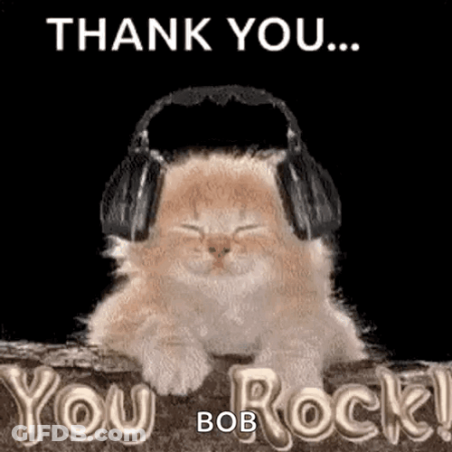 Baby Cat Rocking On Headphones GIF