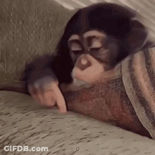 Baby Chimpanzee Laying On Blanket Pointing GIF