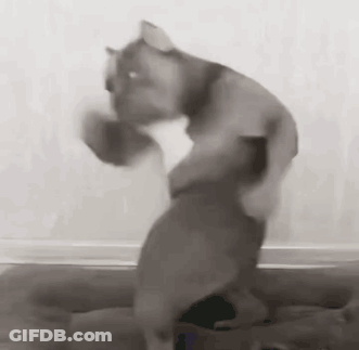 Baby Dancing In Room With Woman Holding Baby GIF
