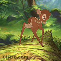 Baby Deer Standing On Log In Woods GIF
