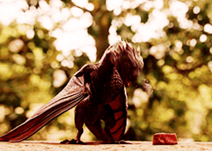 Baby Dragon Tries Dracarys GIF
