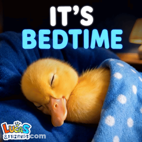 Baby Duck Sleeping Under Blue Blanket Saying It's Bedtime GIF