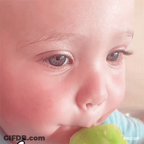 Baby Eating Green Apple GIF