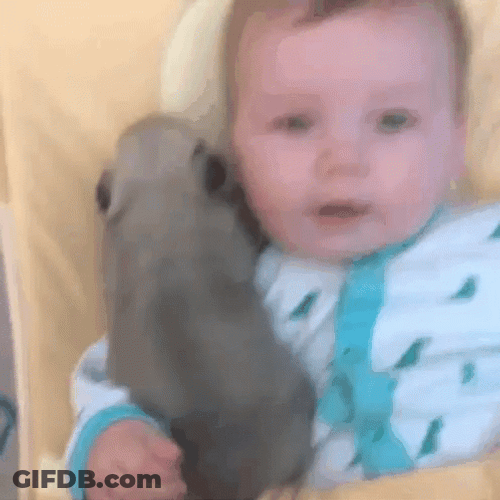 Baby Fever Holding Puppy GIF