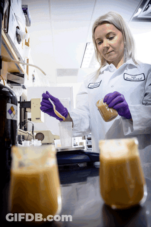 Baby Food Quality Testing GIF