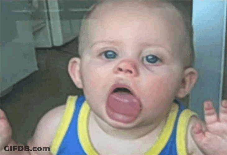 Baby Glass Licking GIF