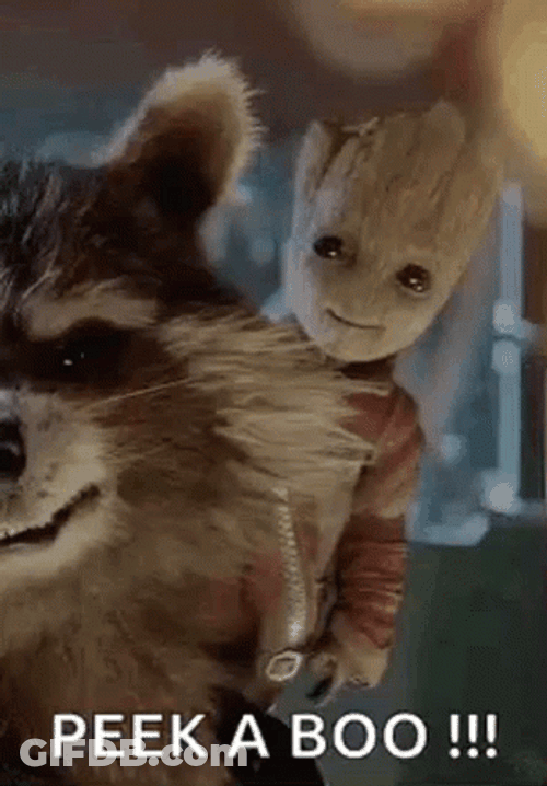 Baby Groot And Rocket Peek A Boo GIF