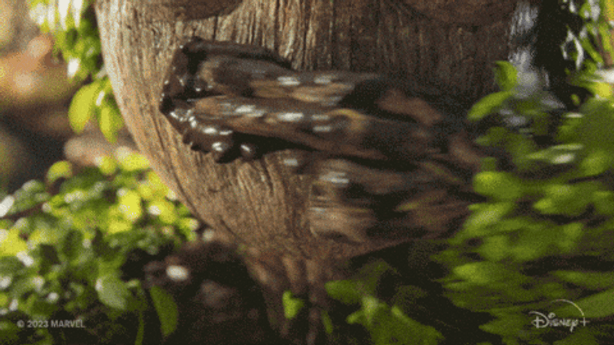 Baby Groot Wears A Dress GIF