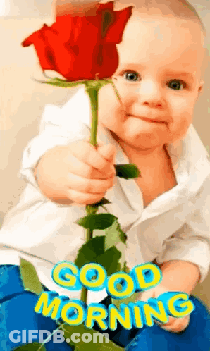 Baby Holding Red Rose Good Morning GIF